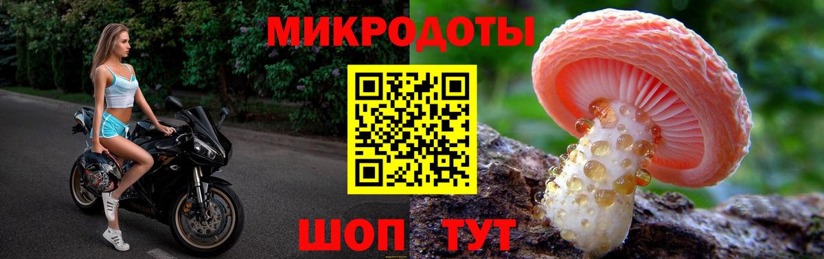 купить закладку  Вход с VPN  Магадан  Галлюциногенные грибы MAGIC MUSHROOMS 